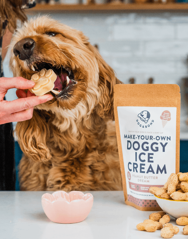Dog & Bond Doggy Ice Cream Mix Peanut Butter 120g