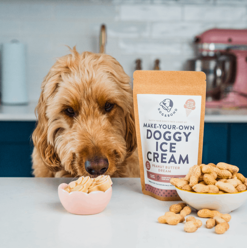 Dog & Bond Doggy Ice Cream Mix Peanut Butter 120g