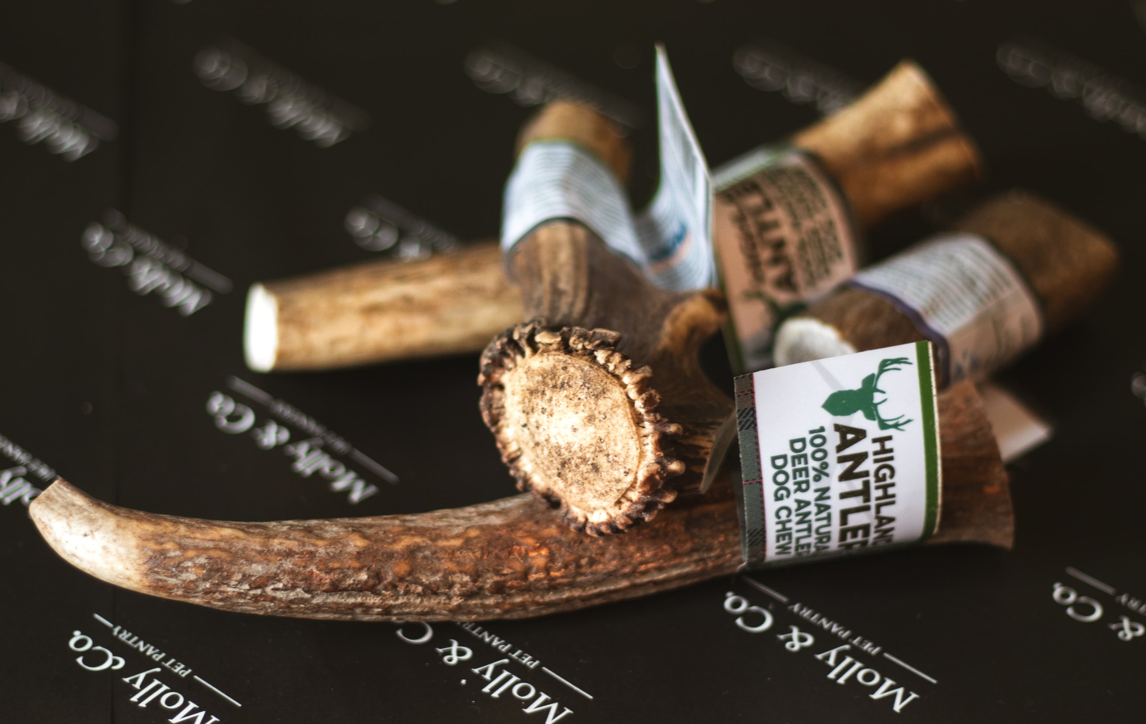 Antler