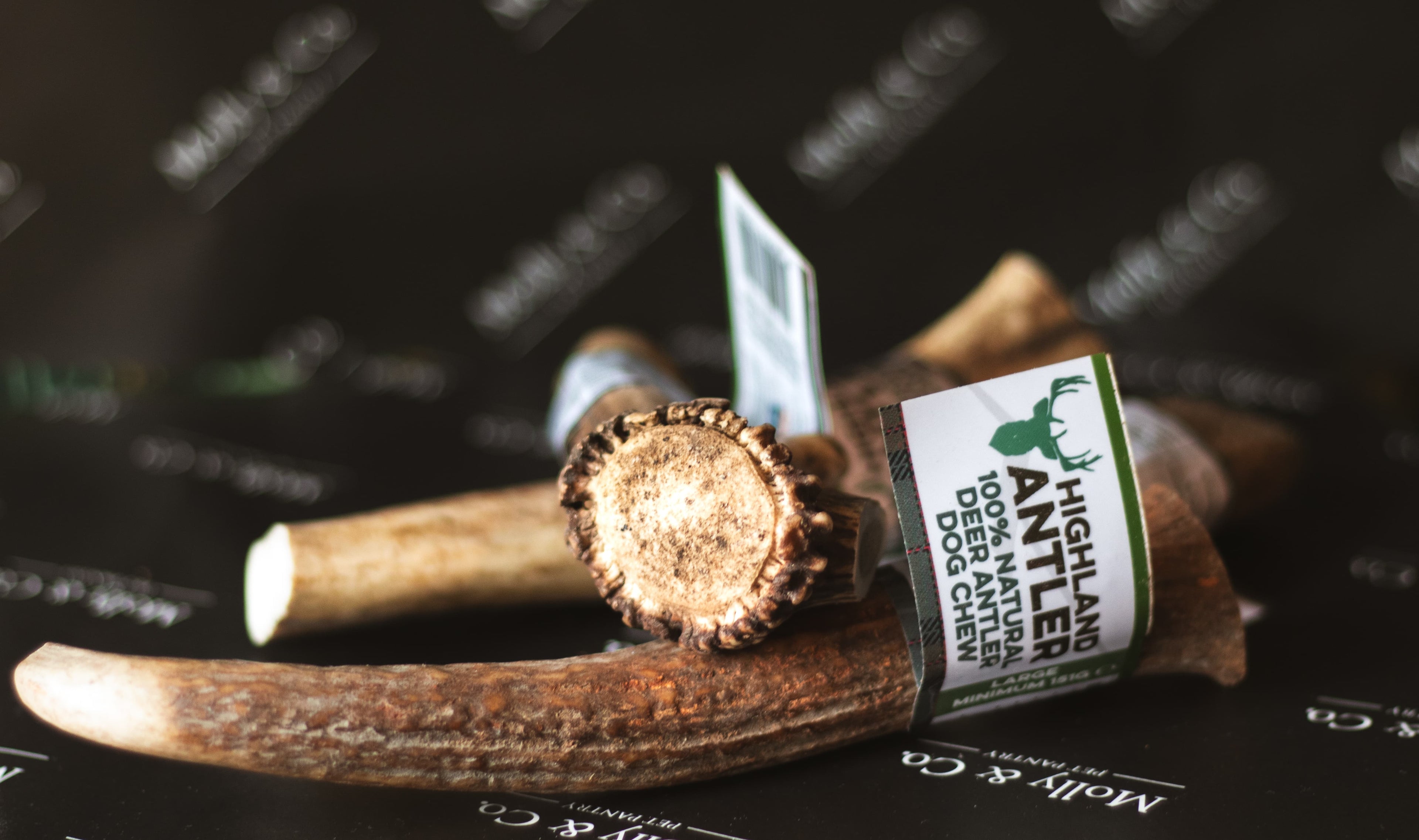 Antler