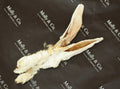 Rabbit Ear with Fur