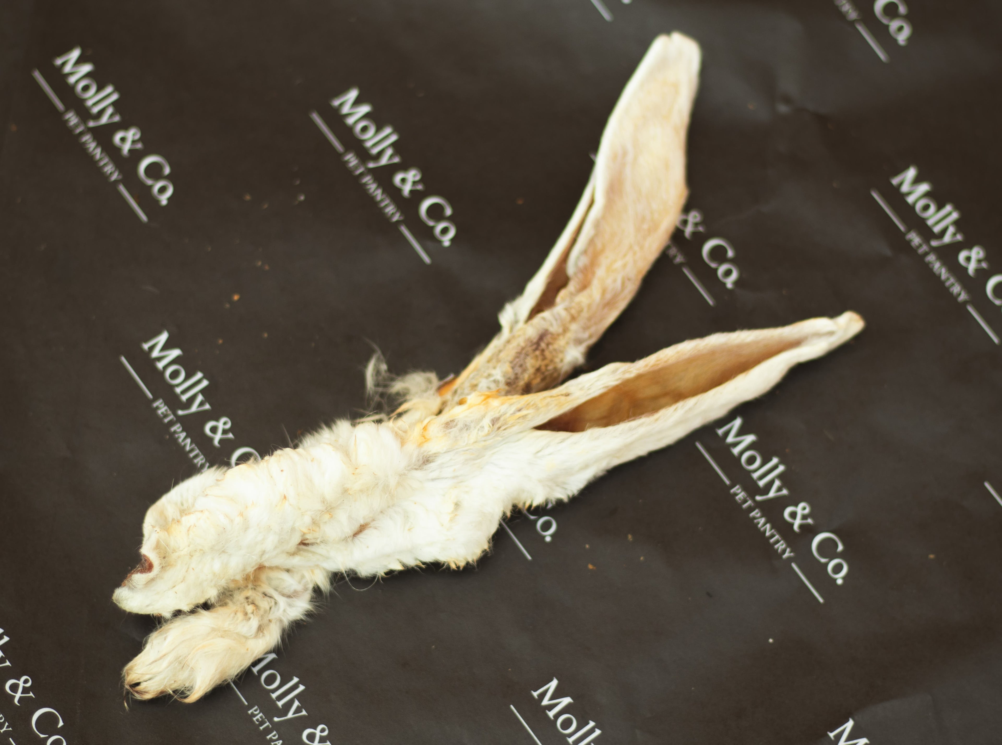 Rabbit Ear with Fur