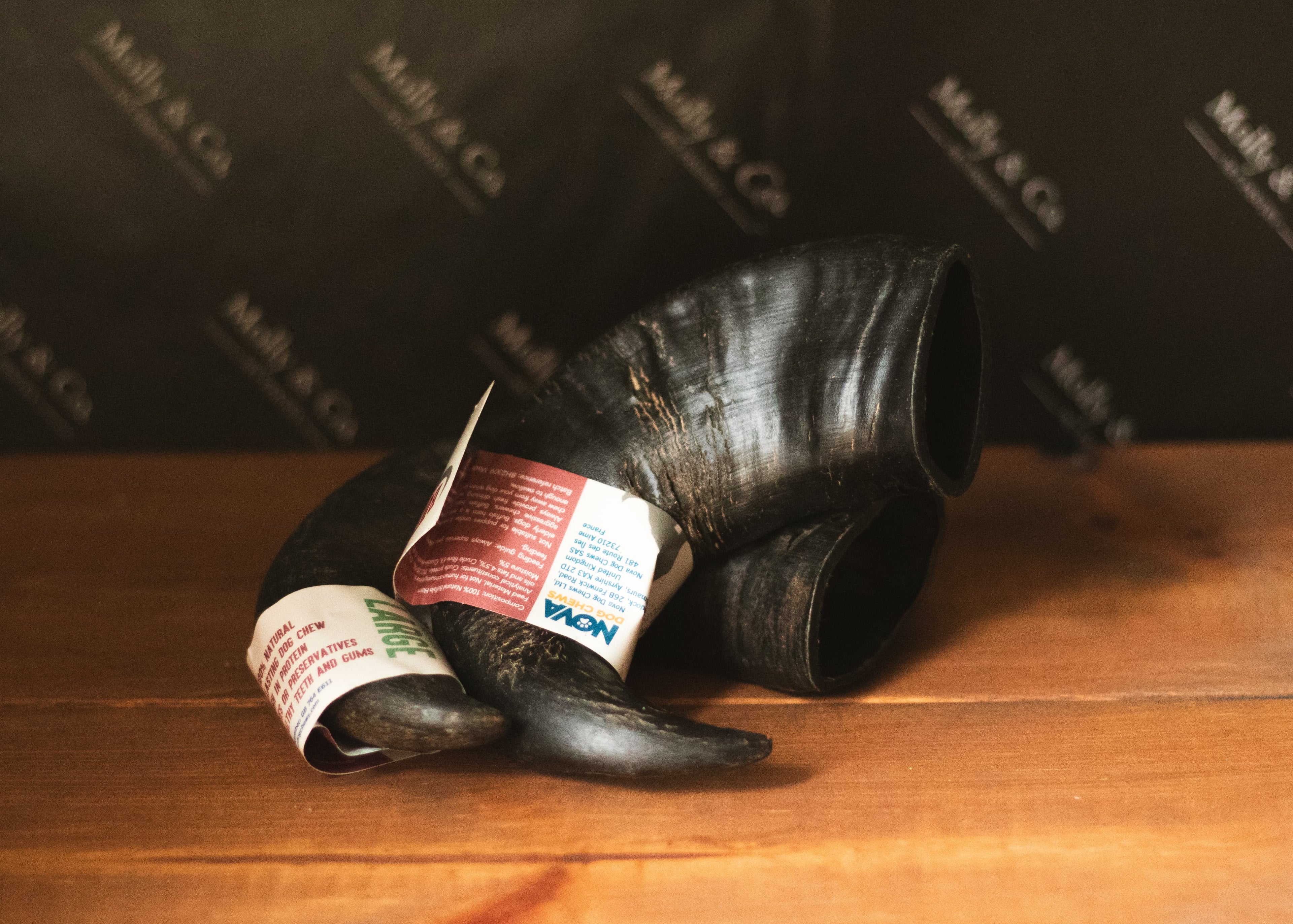 Buffalo Horn