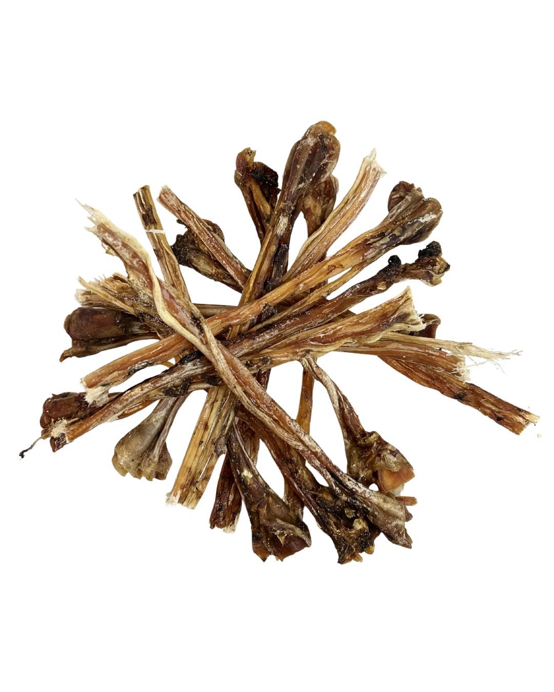Ostrich Tendon