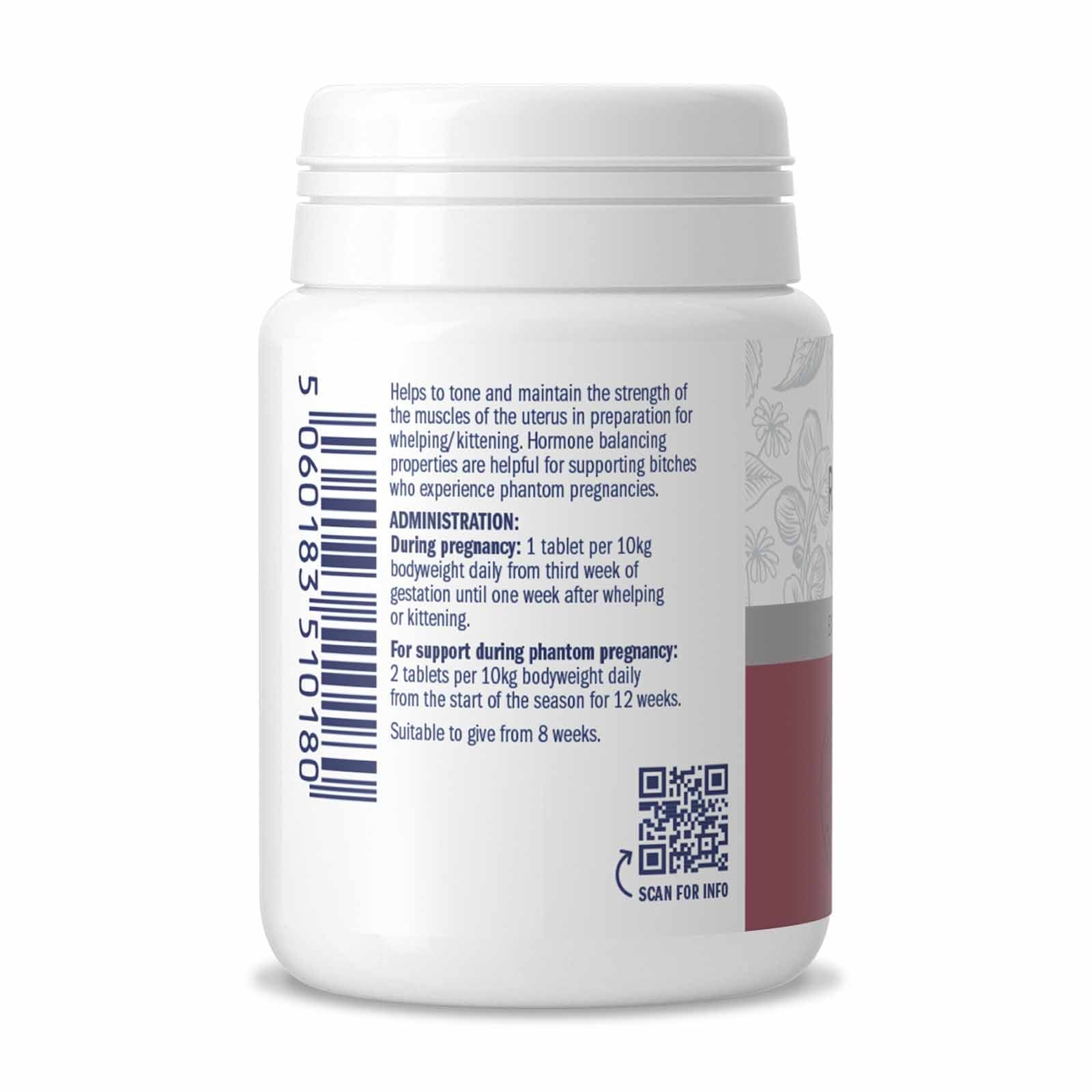 Dorwest Raspberry Leaf Tablets