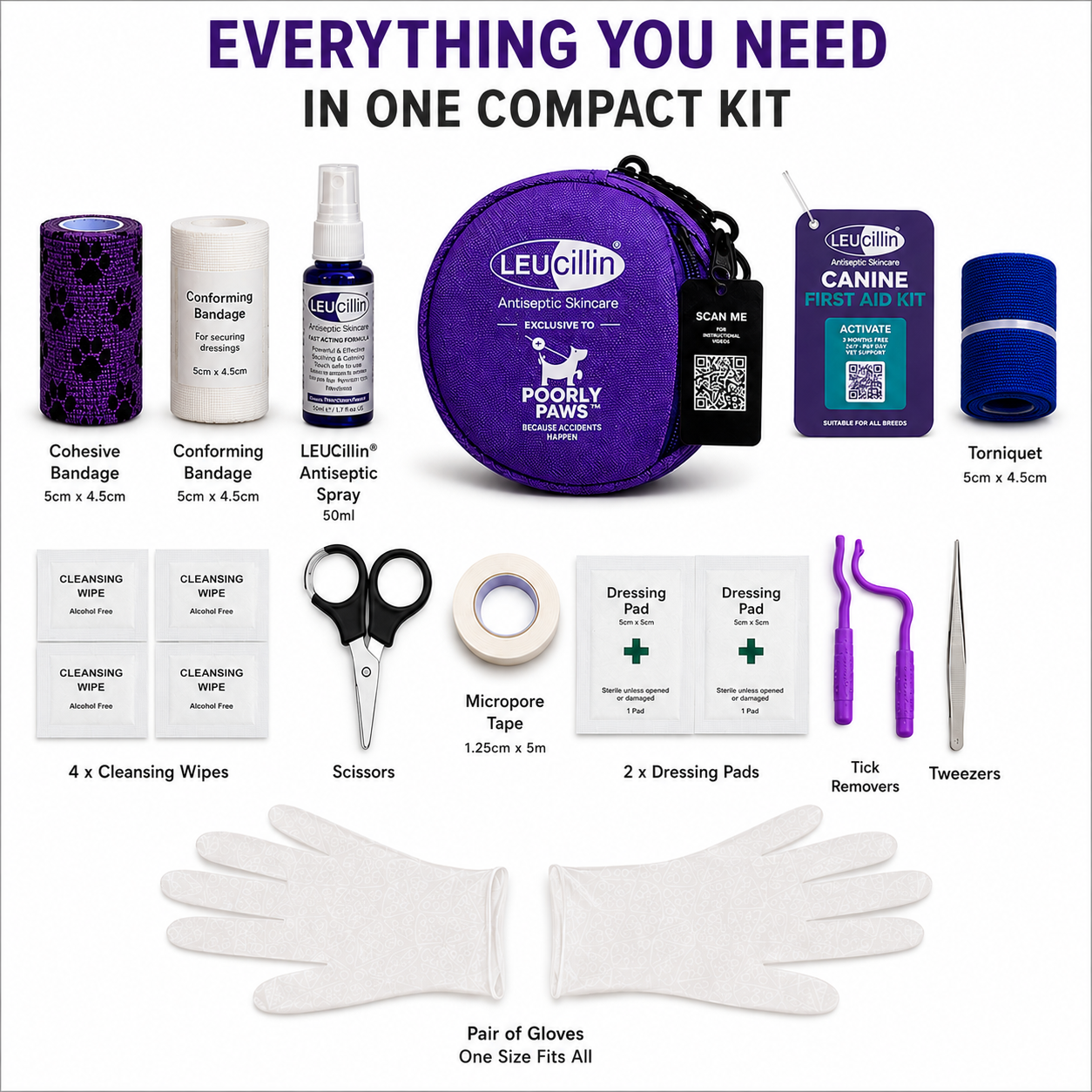 Leucillin & Poorly Paws First Aid Kit